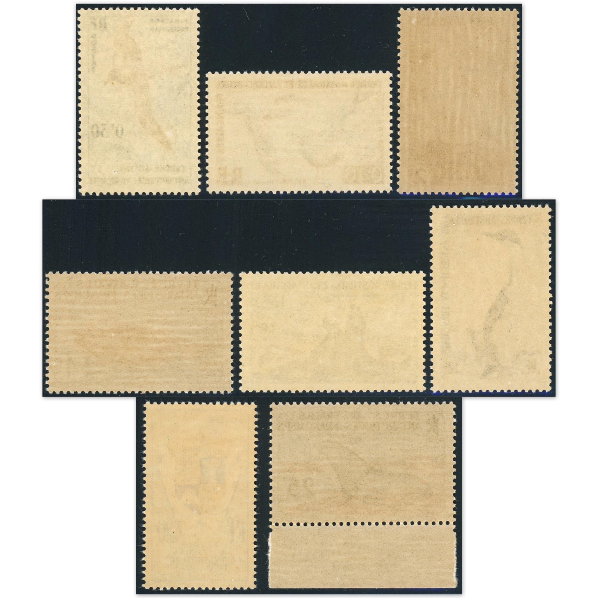 TAAF SÉRIE COMPLÈTE N°12 À 17 FAUNE TIMBRES NEUFS ANNÉE 1959-63 COTE 240€