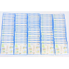 LOT 100 BLOCS N° 78 CAPITALES EUROPÉENES ATHÈNES TIMBRES NEUFS** 0.50€X4 VF 200€