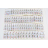 LOT 70 BLOCS N° 10 BICENTENAIRE RÉVOLUTION, TIMBRES NEUFS** 2.20 FRANCS VF 93.9€