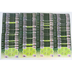 LOT 100 BLOCS N° 97 COUPE DU MONDE 2006 TIMBRES NEUFS** 0.53€ X 10 FACIALE 530€