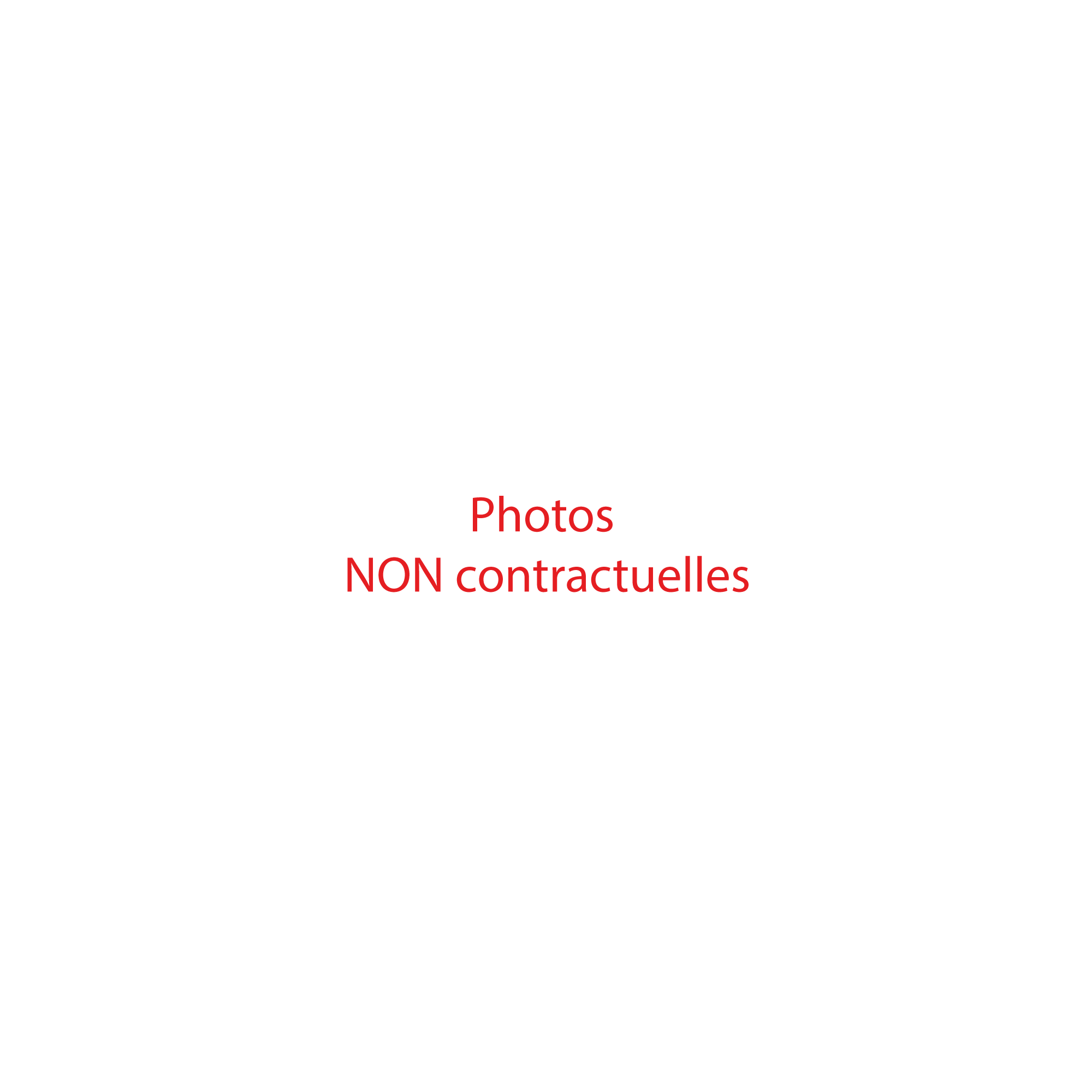 LOT DE 1000 TIMBRES FRANCE NEUFS AFFRANCHISSEMENT 0,20 FRANCS, SOUS FACIALE