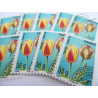 LOT DE PREOBLITERES ILLUSTRES SUR LES FLEURS (TULIPES) POUR 14 LETTRES 35G