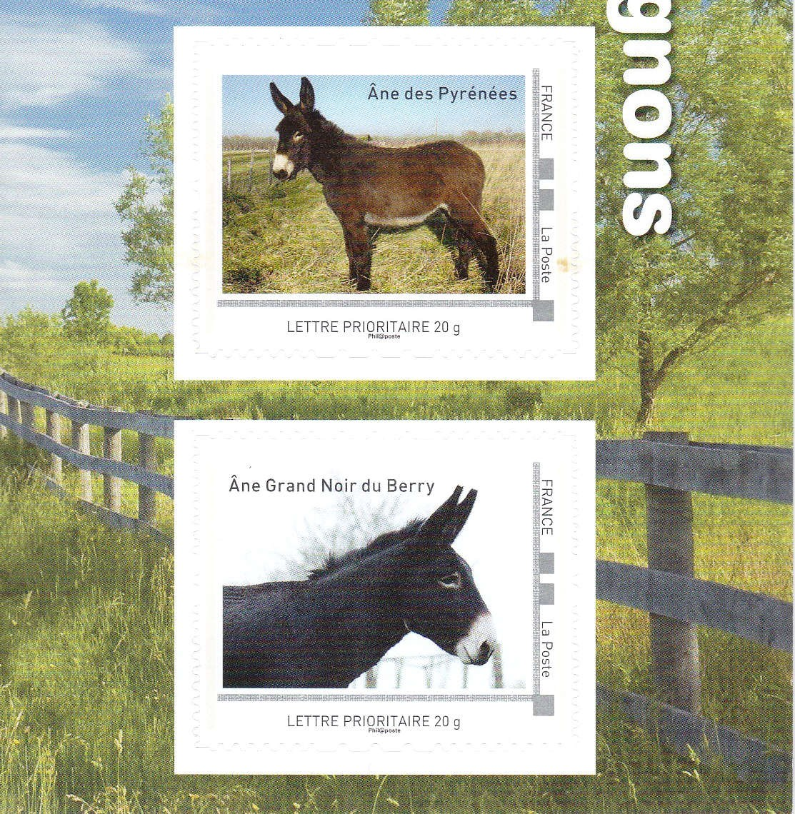 COLLECTOR ÂNE & ÂNESSE (2015) TIMBRES LETTRES 20G AUTOADHESIFS FRAN...