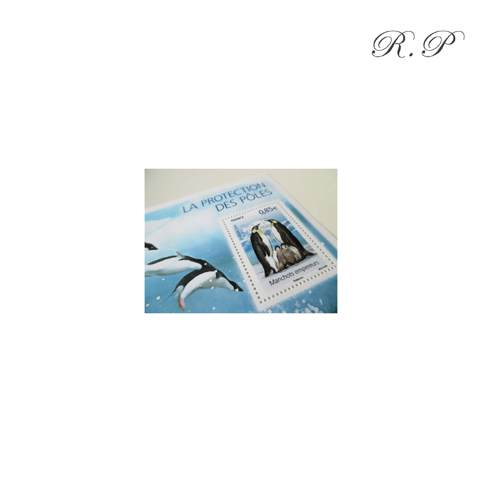 LOT DE 22 BLOCS LA PROTECTION DES POLES, FACIALE 31,02€