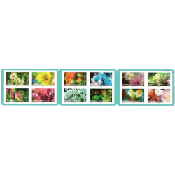 CARNET FRANCE "ECLOSION" TIMBRES POUR AFFRANCHIR 12 lettres 20g N°BC1707