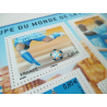 LOT DE 15 FEUILLET N°F4481 COUPE DU MONDE FIFA 2010, FACIALE 51€