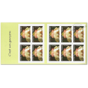 CARNET FRANCE BC55 DE TIMBRES POUR AFFRANCHIR 10 LETTRES 20g "C\'EST UN GARCON"