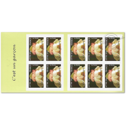 CARNET FRANCE BC55 DE TIMBRES POUR AFFRANCHIR 10 LETTRES 20g "C'EST UN GARCON"