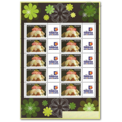 FEUILLE TIMBRES NAISSANCES "C'EST UN GARçON" (3805A) AVEC VIGNETTE TIMBRES PERSONNALISéS