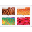 FRANCE CARNET DE TIMBRES N°BC2389 ANIMAUX COULEUR 12 LETTRES 20g POUR AFFRANCHIR
