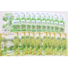 LOT 20 BLOCS JARDINS FRANCE 2011-12 TIMBRES 2.40EUR POUR AFFRANCHIR, FACIALE 96€