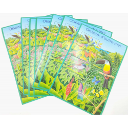 LOT DE 30 BLOCS N°56 OISEAUX OUTRE MER TIMBRES NEUFS** ANNEE 2003, FACIALE 60.6€