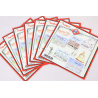 LOT 25 BLOCS N° F4730 MADRID, TIMBRES NEUFS** 0.63€ X 4 - VALEUR FACIALE 63€