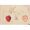 LOT 35 BLOCS N° F4535 FETE DU TIMBRE 2011 FRAISE TIMBRES NEUFS** 2€ FACIALE 70€