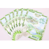 LOT 15 BLOCS N° F4751 JARDINS FRANCE, TIMBRES NEUFS** 2.55€ x 2 - FACIALE 76.50€