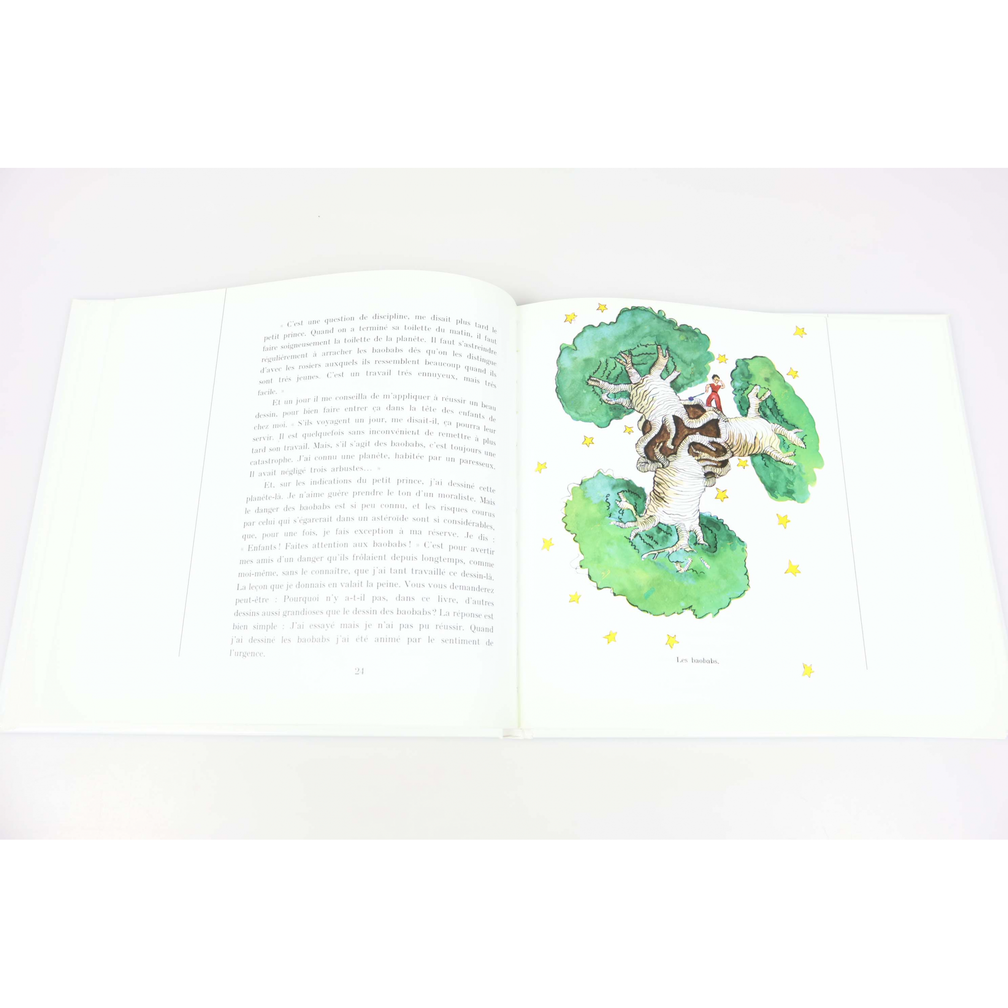 LE LIVRE DES TIMBRES DE FRANCE "LE PETIT PRINCE" 1998
