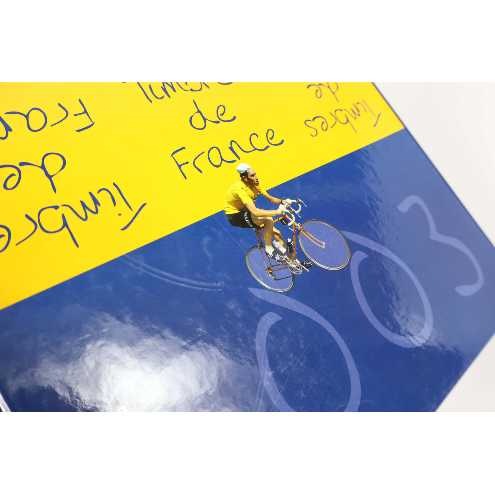 LE LIVRE DES TIMBRES FRANCE 2003