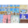 LOT IMPORTANT DE BLOCS-FEUILLETS EN EUROS TIMBRES NEUFS** FACIALE 305€