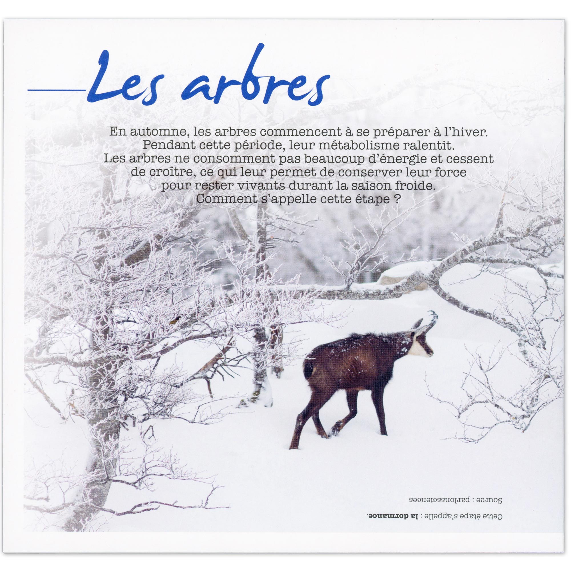 FEUILLET COLLECTOR N° COL497 "EXCLUSIF HIVER" TIMBRES FRANCE ANNÉE 2023