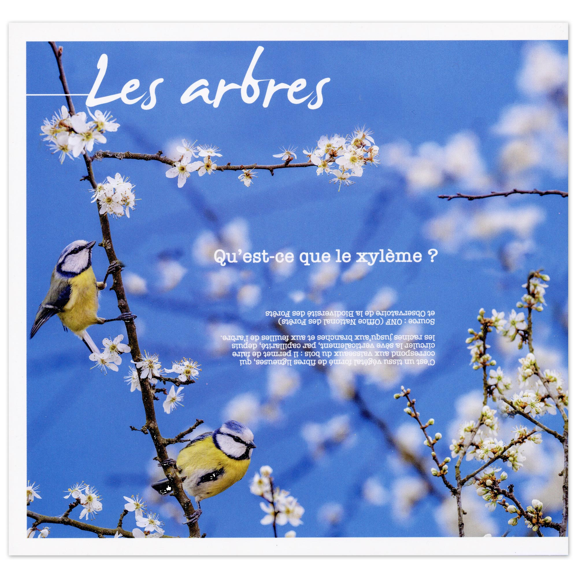 FEUILLET COLLECTOR N°COL504 "LES ARBRES PRINTEMPS" TIMBRES FRANCE ANNÉE 2023