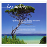 FEUILLET COLLECTOR N°COL518 "LES ARBRES D'ÉTÉ" TIMBRES FRANCE ANNÉE 2023
