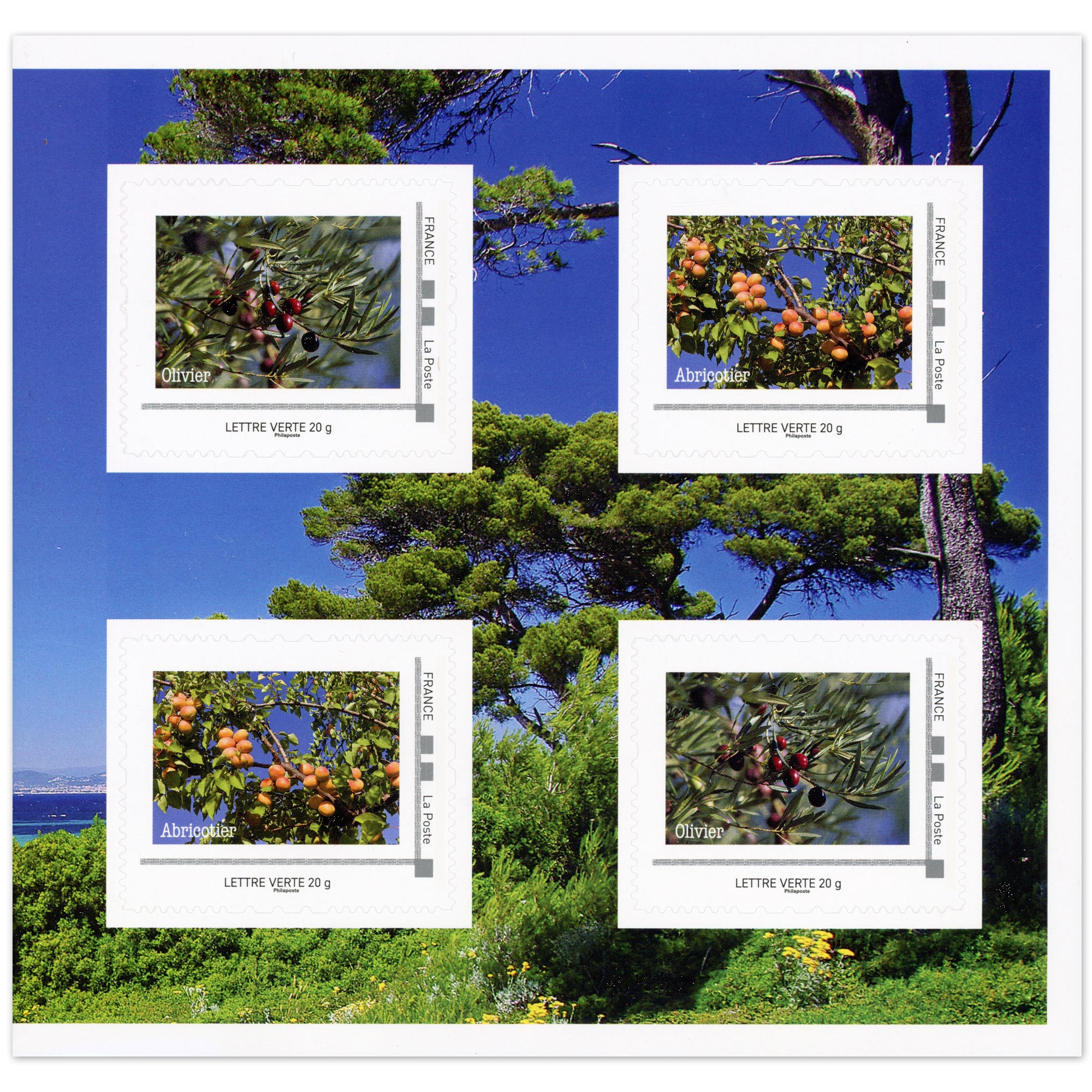 FEUILLET COLLECTOR N°COL518 "LES ARBRES D'ÉTÉ" TIMBRES FRANCE ANNÉE 2023