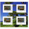 FEUILLET COLLECTOR N°COL518 "LES ARBRES D'ÉTÉ" TIMBRES FRANCE ANNÉE 2023