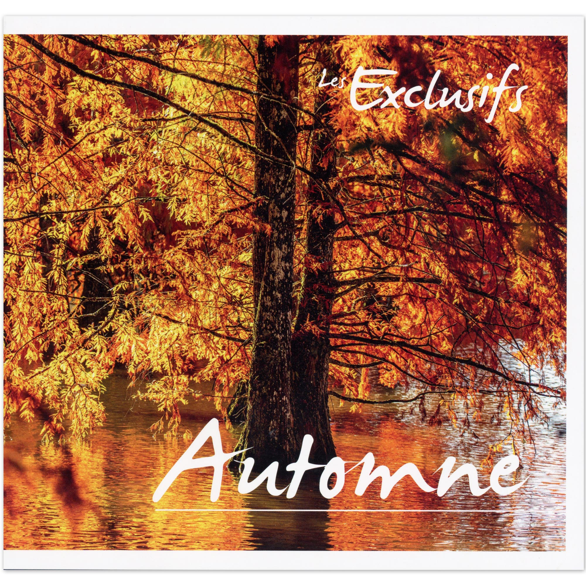 FEUILLET COLLECTOR N°COL526 "LES ARBRES D'AUTOMNE" TIMBRES FRANCE ANNÉE 2023