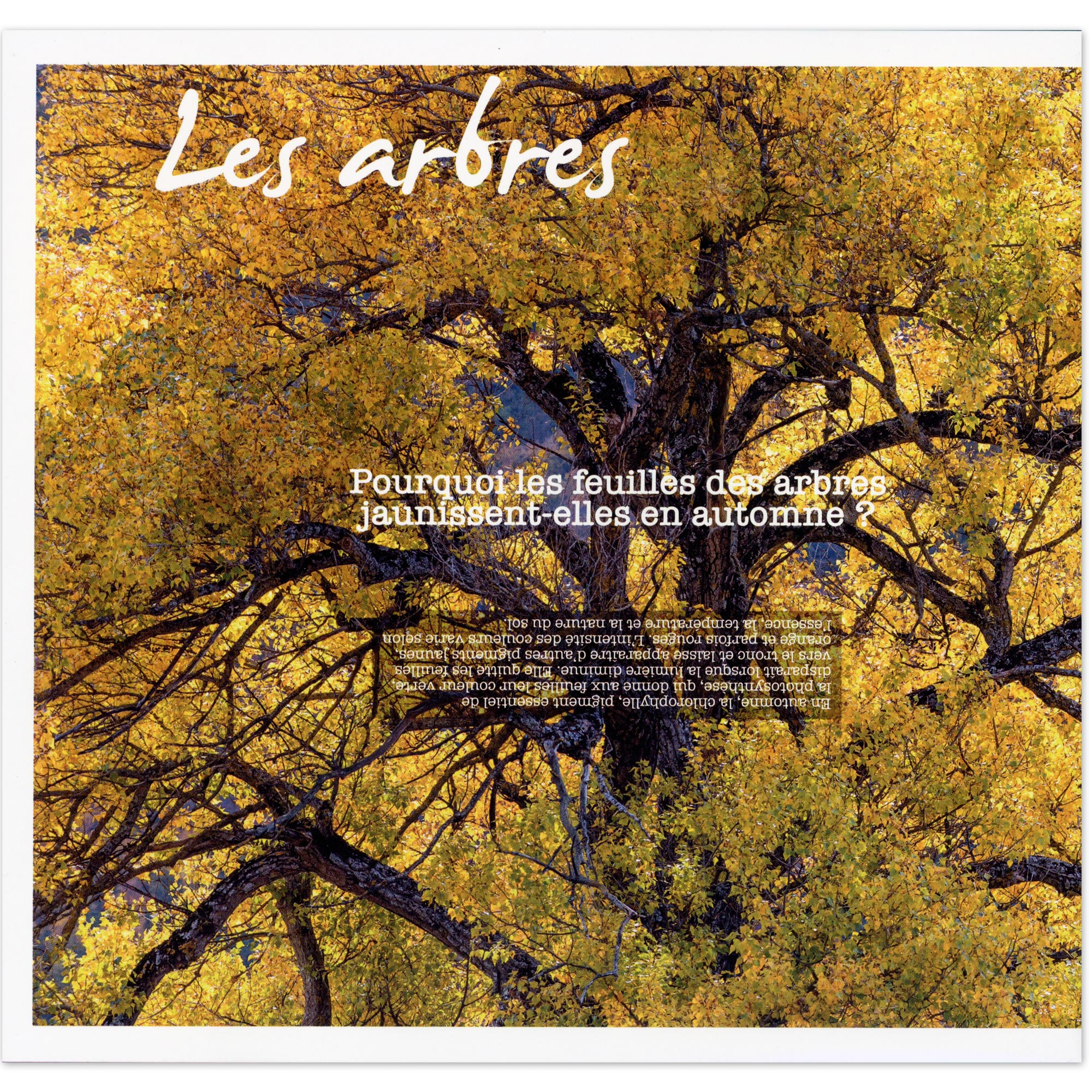 FEUILLET COLLECTOR N°COL526 "LES ARBRES D'AUTOMNE" TIMBRES FRANCE ANNÉE 2023