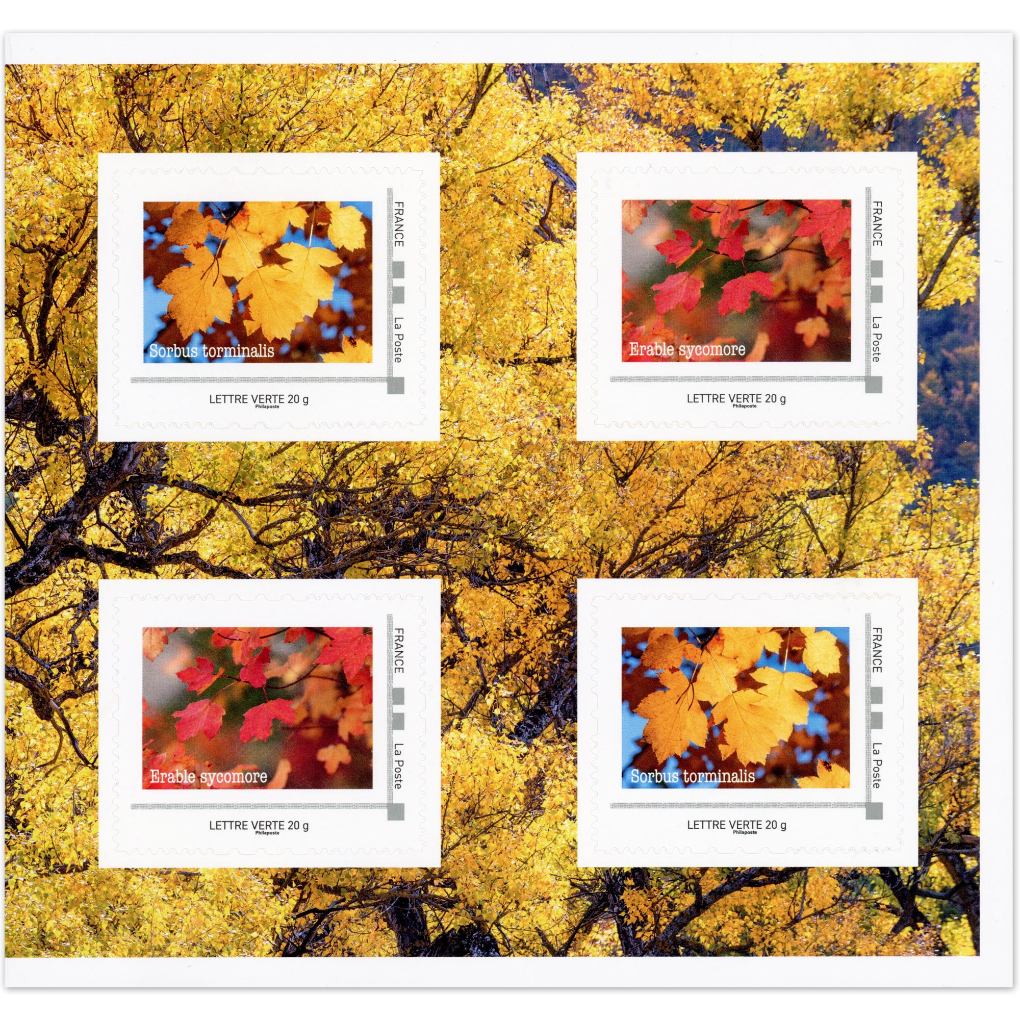 FEUILLET COLLECTOR N°COL526 "LES ARBRES D'AUTOMNE" TIMBRES FRANCE ANNÉE 2023