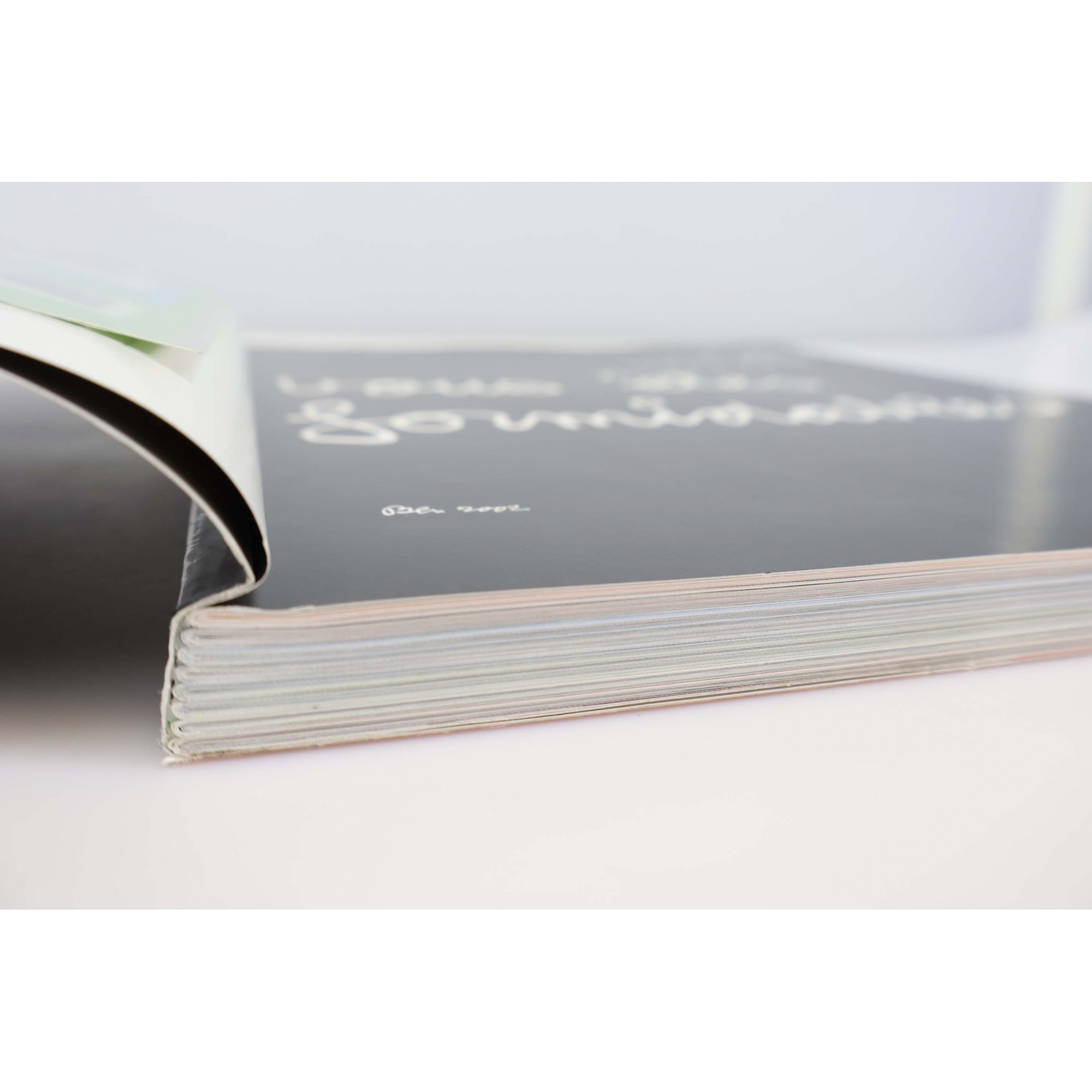 LIVRE DES TIMBRES FRANCE " VOUS ETES FORMIDABLES - VIE QUOTIDIENNE" ANNÉE 2002