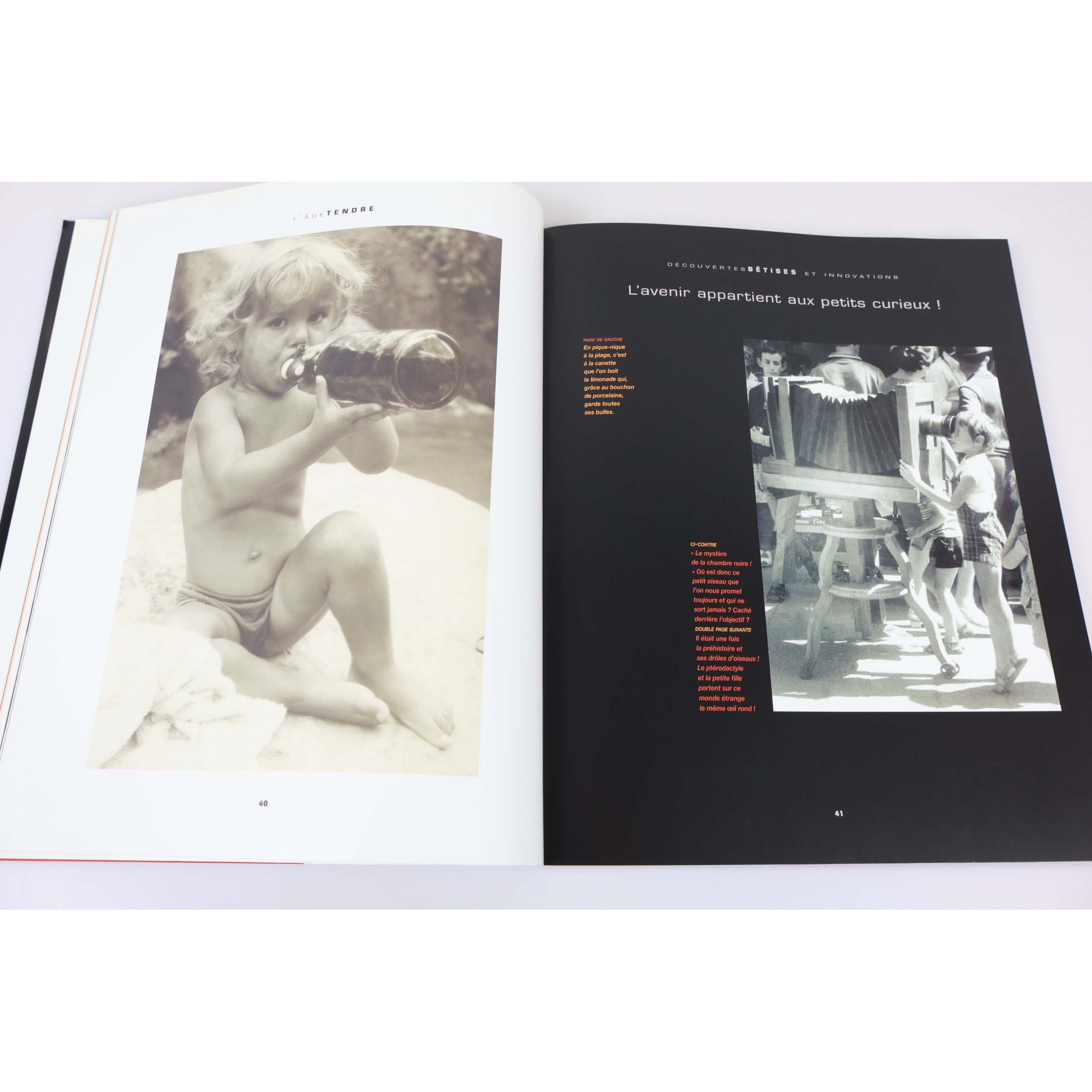 LIVRE DES TIMBRES FRANCE " VOUS ETES FORMIDABLES - VIE QUOTIDIENNE" ANNÉE 2002