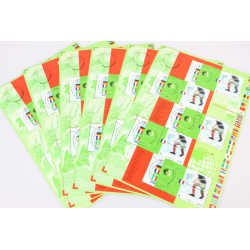 LOT 20 BLOCS N° 49 CHAMPIONS MONDE FOOTBALL 98 TIMBRES NEUFS** 0.46€ X 10 VF 92€