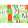 LOT 20 BLOCS N° 49 CHAMPIONS MONDE FOOTBALL 98 TIMBRES NEUFS** 0.46€ X 10 VF 92€