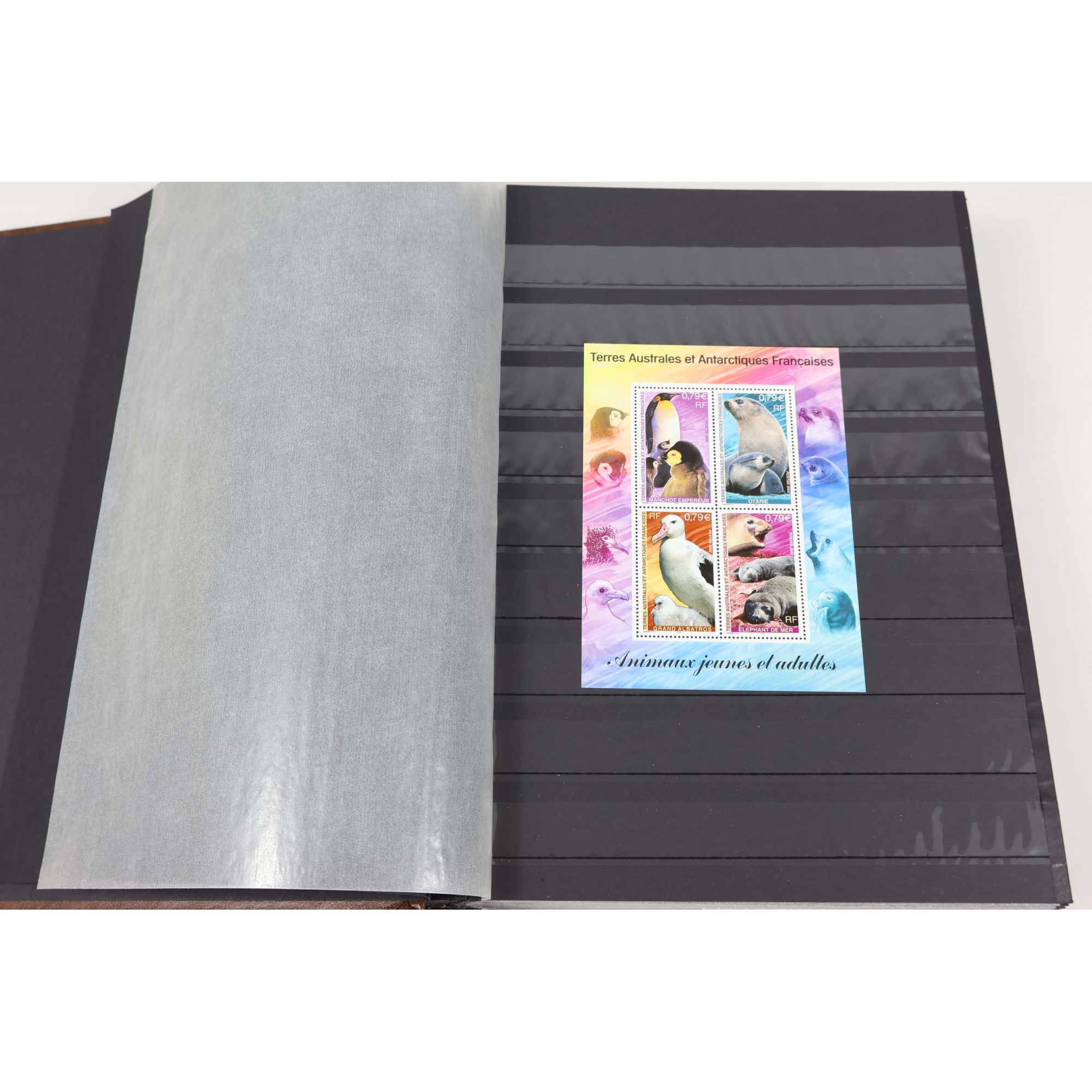 COLLECTION TAAF ANNÉES 2002 À 2022 TIMBRES NEUFS** FACIALE 730€ AVEC ALBUM