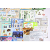 LOT DE BLOCS-FEUILLETS DE FRANCE COLLECTION/AFFR TIMBRES NEUFS** FACIALE 303€