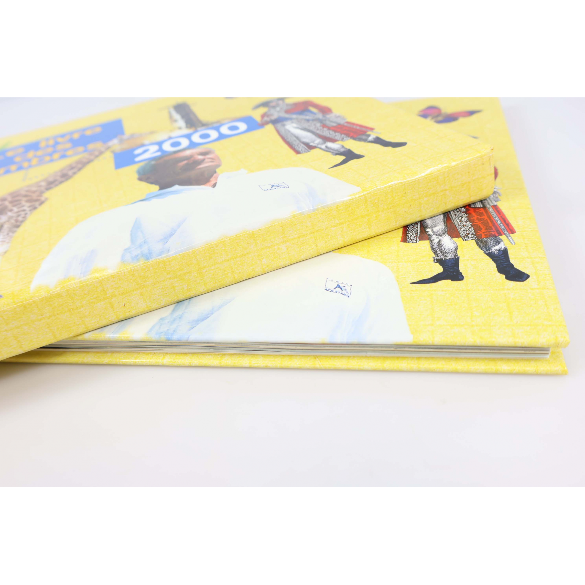 LE LIVRE DES TIMBRES FRANCE ANNÉE 2000 COMPLET NEUFS**, SIGNES USUELS BOITIER