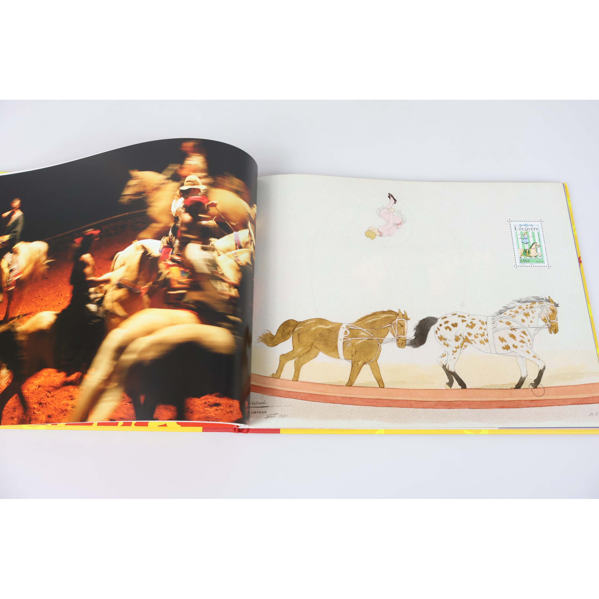 FRANCE, LIVRE DES TIMBRES " VOYAGE AVEC LE CIRQUE " 2008 COMPLET, ANGLES ABIMÉS