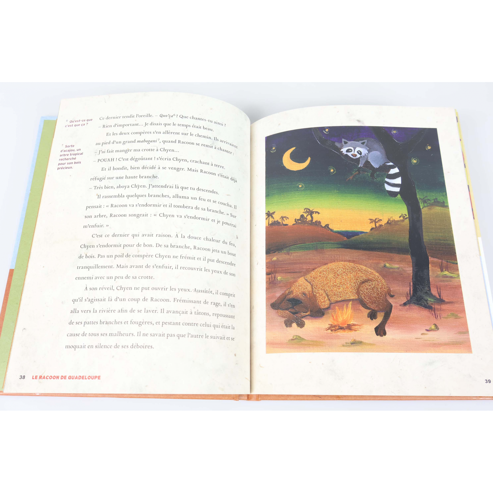 LE LIVRE DES TIMBRES "SOS ANIMAUX OUTRE-MER" FRANCE 2007, TRÈS BONNE QUALITÉ