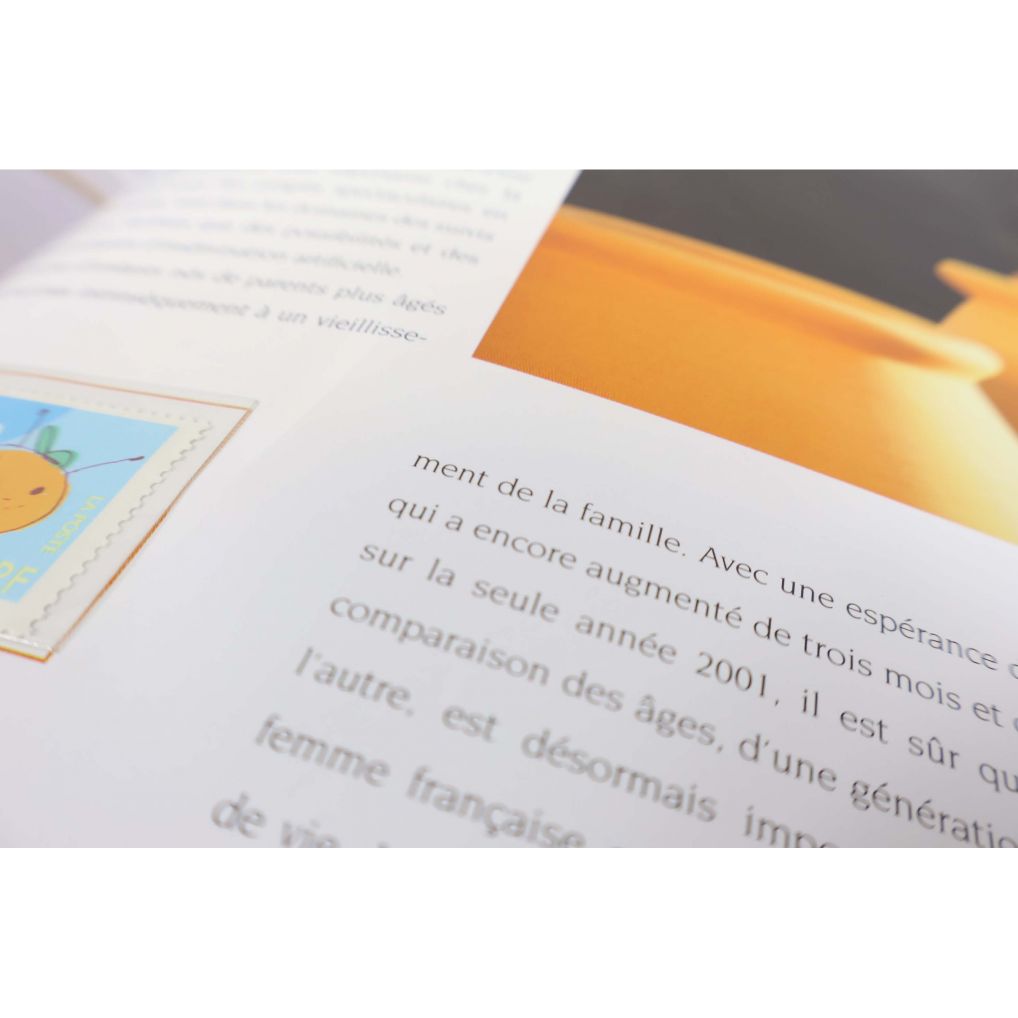 LE LIVRE DES TIMBRES FRANCE COMPLET ANNÉE 2002 NEUFS**, SIGNES USUELS