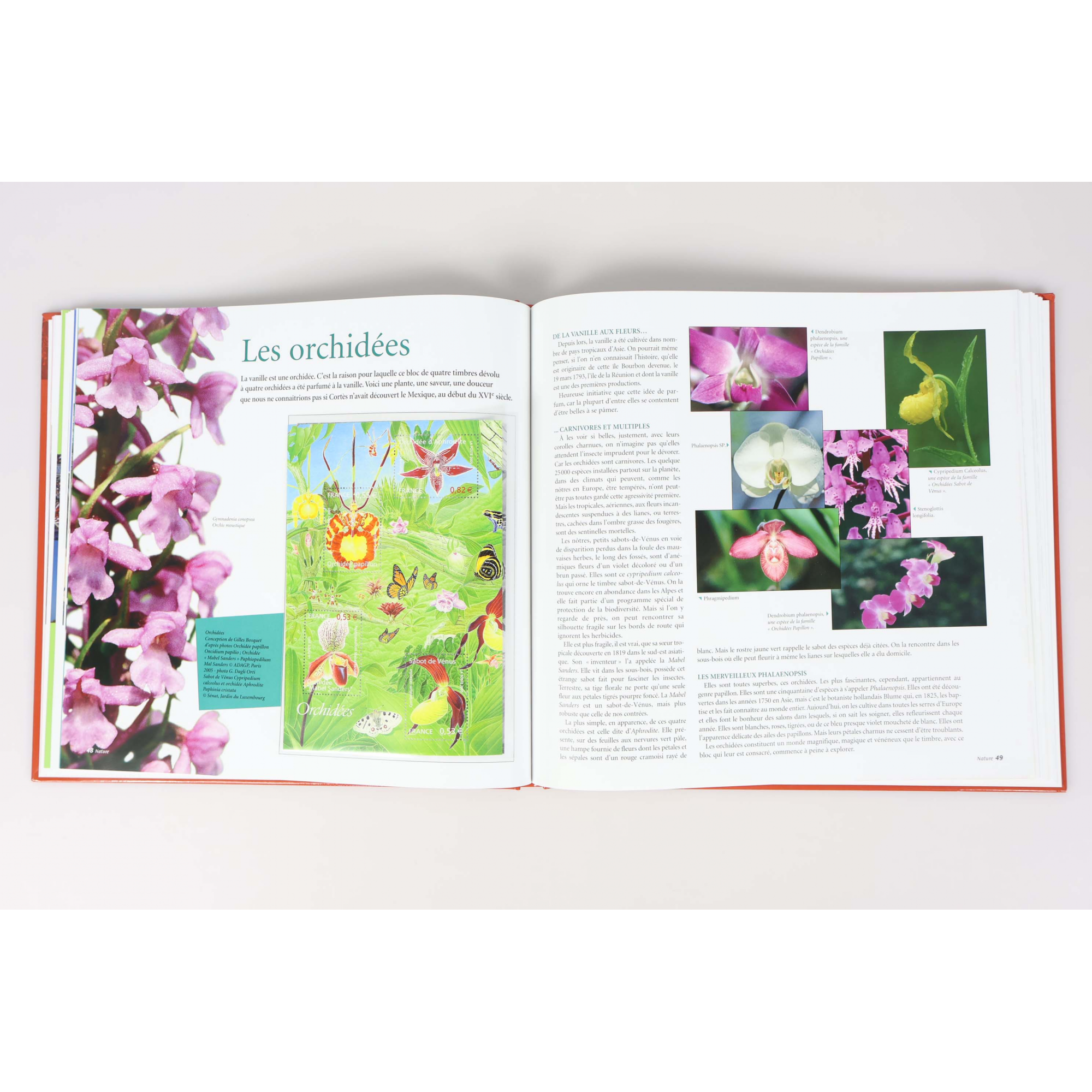 LE LIVRE DES TIMBRES FRANCE COMPLET ANNÉE 2005 NEUFS**, SIGNES USUELS BOITIER