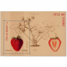 FEUILLET N°F4535 "FRAISIER RUBIS" TIMBRE NEUF** DE FRANCE LUXE ANNÉE 2011