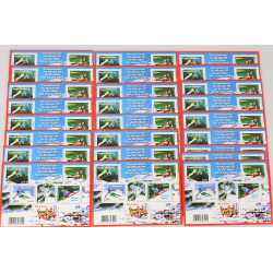 LOT 25 BLOCS N° F4329 CHAMPIONNATS SKI ALPIN TIMBRES NEUFS 0.55€ FACIALE 68.75€