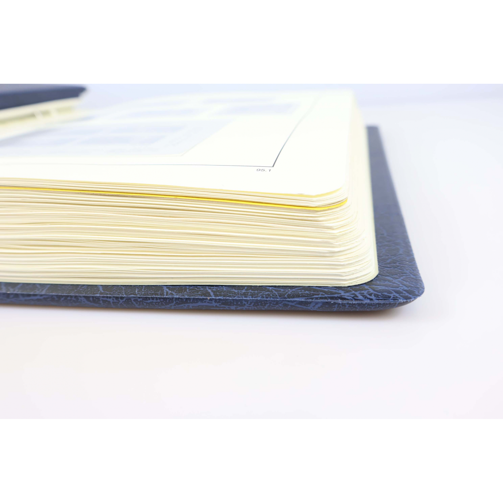 CLASSEUR HAUT DE GAMME LEUCHTTURM POUR UNE COLLECTION DE FRANCE DE 1995 À 2002