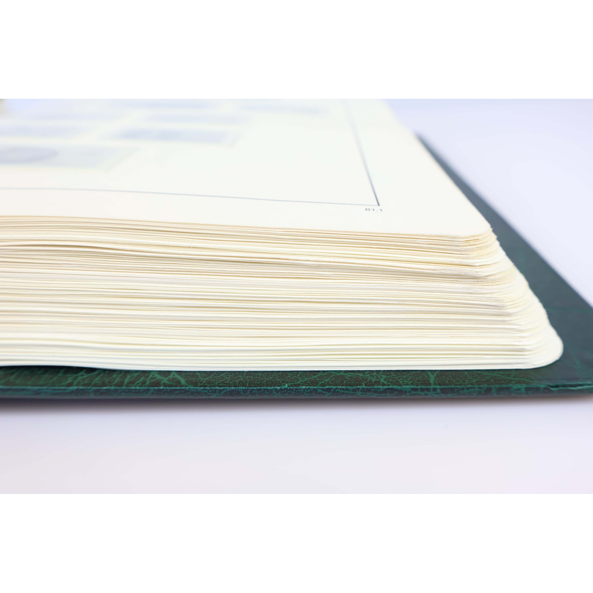 CLASSEUR HAUT DE GAMME LEUCHTTURM POUR UNE COLLECTION DE FRANCE DE 1981 À 1994