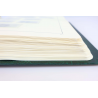 CLASSEUR HAUT DE GAMME LEUCHTTURM POUR UNE COLLECTION DE FRANCE DE 1981 À 1994