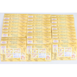 LOT 30 BLOCS N° 103 MACHINES VOLANTES TIMBRES NEUFS** 0.54€ X 6 FACIALE 97.20€