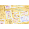 LOT 30 BLOCS N° 103 MACHINES VOLANTES TIMBRES NEUFS** 0.54€ X 6 FACIALE 97.20€