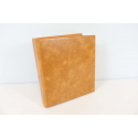 CLASSEUR ORIGINAL AVEC FEUILLES PRÉ-IMPRIMÉES POUR UNE COLLECTION DE FRANCE