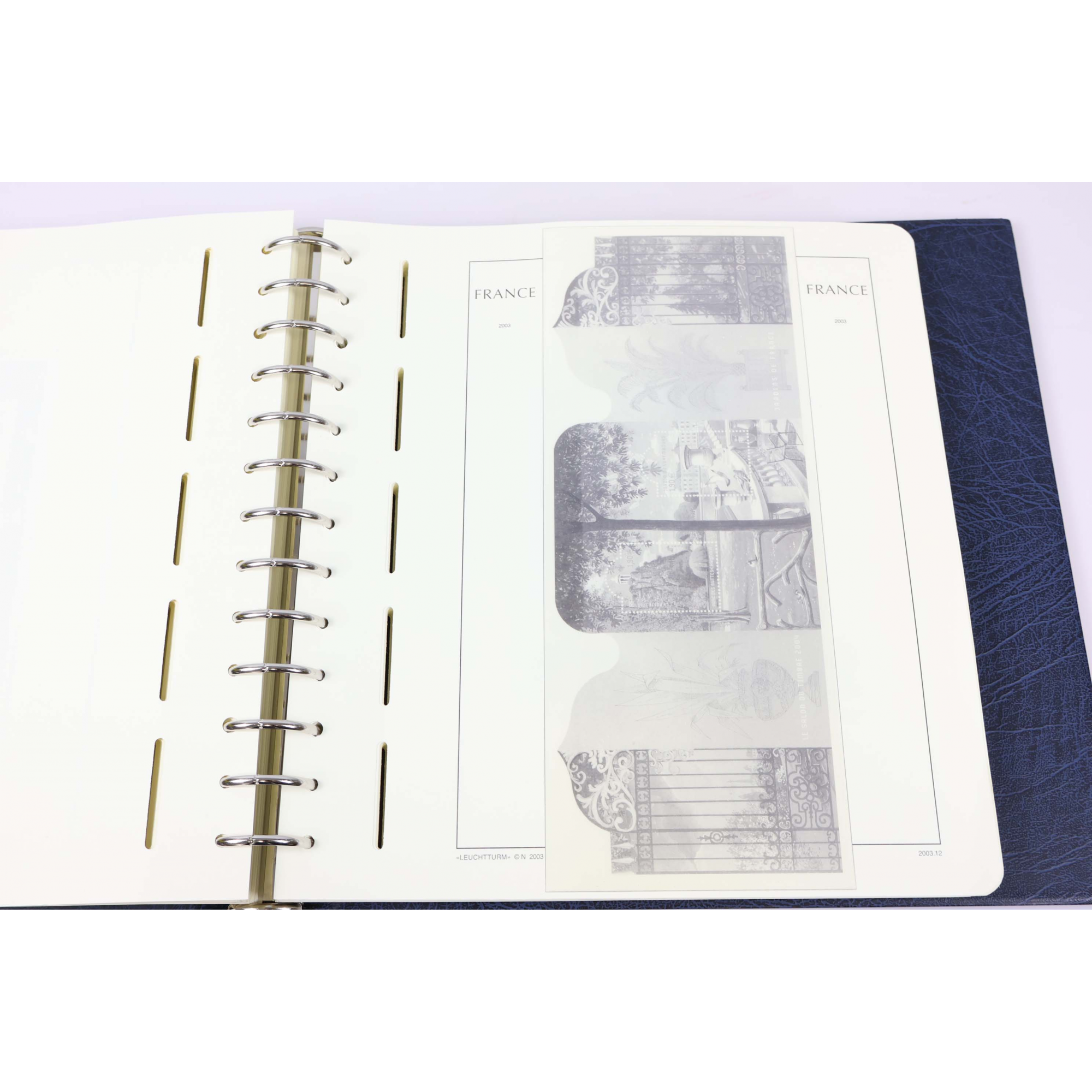 CLASSEUR HAUT DE GAMME LEUCHTTURM POUR UNE COLLECTION DE FRANCE DE 2000 À 2006